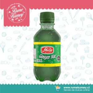 Bebida Ginger 300 ml