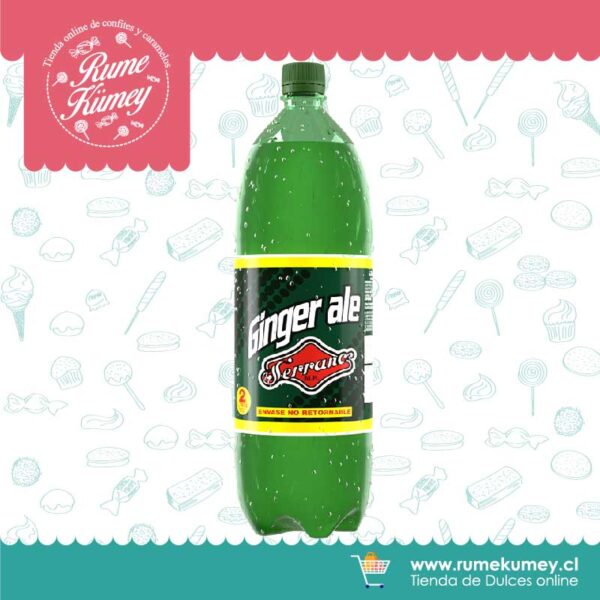 serrano ginger ale 2L